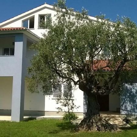 Apartments Villa Ulivo - Apartment Sol Fažana Buitenkant foto