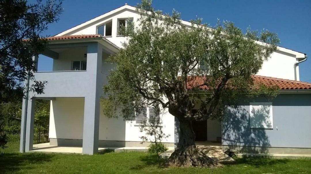 Apartments Villa Ulivo - Apartment Sol Fažana Buitenkant foto